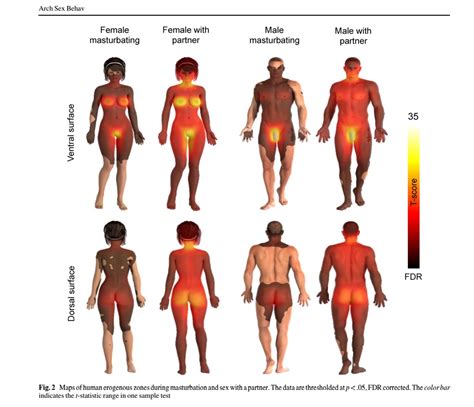 Need A Guide To The Body S Hidden Erogenous Zones Check This Map Maxim