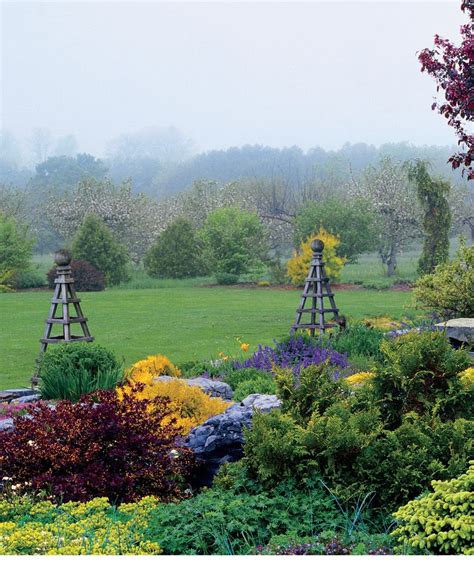 This guide for grown ups is much more detailed than the kid's scavenger hunt, covers more species of trees, and has bigger pictures. 308 best New England Four Season Landscaping images on ...