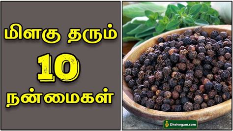 மிளகு தரும் அற்புதமான நன்மைகள் Pepper Benefits In Tamil Pepper