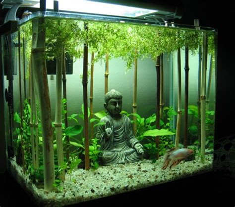 Ten Of The Craziest And Most Unusual Small Fish Tanks Money Can Buy