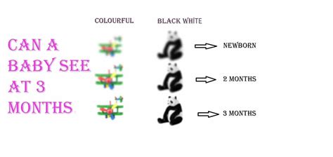 Can A Baby See At 3 Months How To Improve Visual Perception