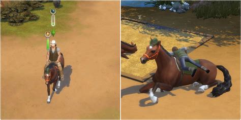 The Sims 4 Horse Ranch Horse Riding Skill Guide