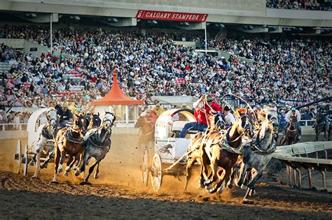 On a year round basis stampede park has several bike racks located outside of the nutrien western event centre and around the bmo centre. Insider tips for the Calgary Stampede | Vacations & Travel