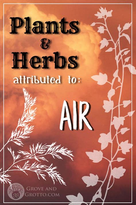 What Plants And Herbs Are Attributed To Air Herbs Magical Herbs
