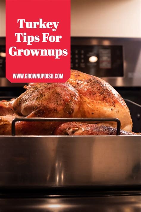 turkey tips for grownups grownup dish
