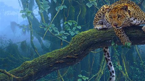 Jaguar Animal Full Hd Wallpaper 1080p 1 Hd Wallpaper 4k Free