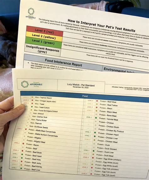 Dog Allergy Testing Best At Home Test 2023 Wear Wag Repeat