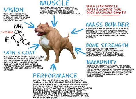 See the full review here. Best Dog Food for Pitbulls to Gain Muscle in 2021 - Top 3 ...