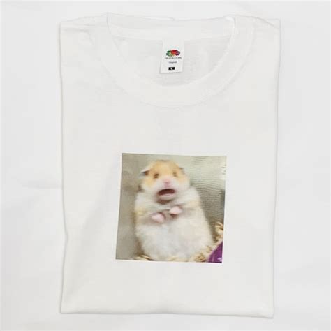 Scared Hamster Funny Meme T Shirt From Instagram Twitter And Etsy Uk