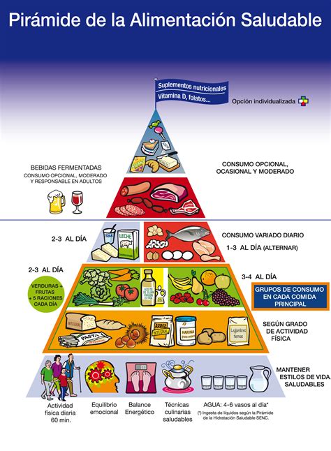 Nueva Pirámide Nutricional Se Incluyen Los Suplementos Nutricionales