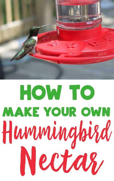 A Hummingbird Sitting On Top Of A Bird Feeder With The Words How To