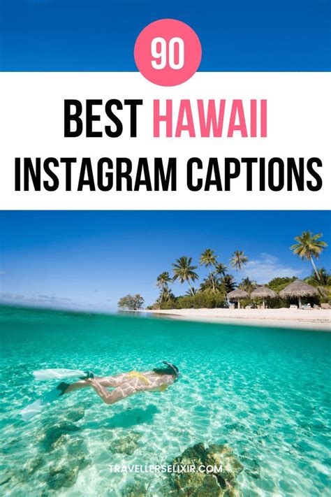 90 Hawaii Captions For Instagram Puns Quotes Short Captions Artofit