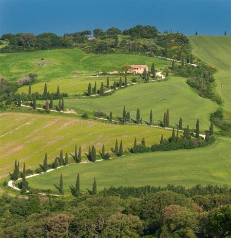 Typical Tuscan Landscape Stock Photo Image Of Cypress 42513750