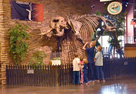 When you visit the museum of ancient life at thanksgiving point, or the thanksgiving point dinosaur museum as my children call it, make sure to look for the hidden there are 13 gnomes hidden throughout the museum. A school of fish: Thanksgiving Point Dinosaur Museum Field ...