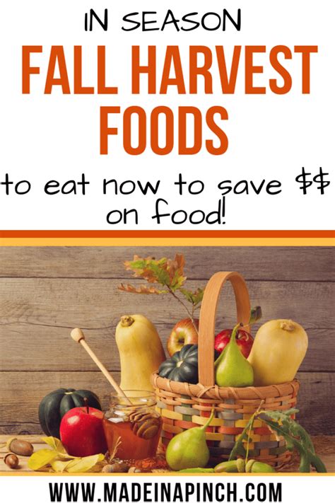 Enjoy These Fresh And Yummy Healthy Fall Harvest Foods Now Made In A Pinch