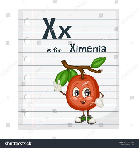 Illustrated Vocabulary Card With Letter X And Ximenia Cartoon Paper
