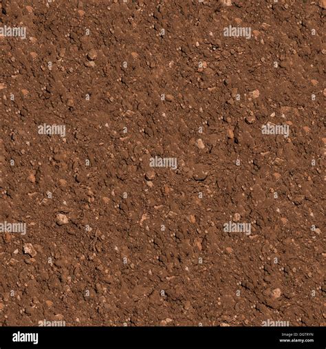 Soil Seamless Texture Stock Photo Alamy