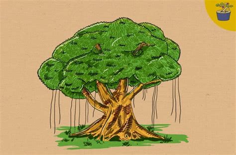 Contoh Sketsa Pohon Beringin Mudah