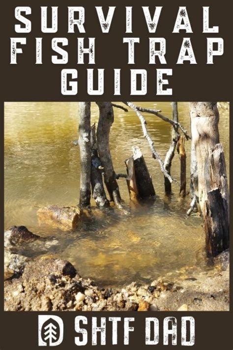 Survival Fish Trap Guide Best And Easy Primitive Traps Photosvideo
