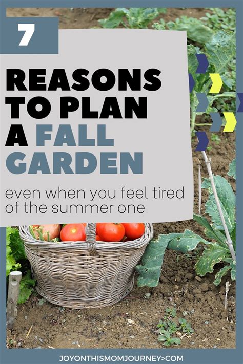 Reasons To Plant A Fall Garden Growing Tomatoes Growing Food Growing