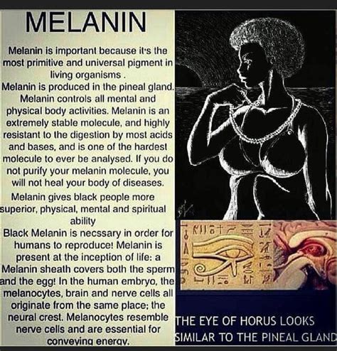 Melanin Kemetic Spirituality Black Consciousness Black History
