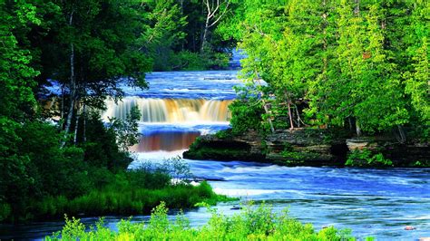 Waterfalls Stream River Between Green Trees Bushes Plants During
