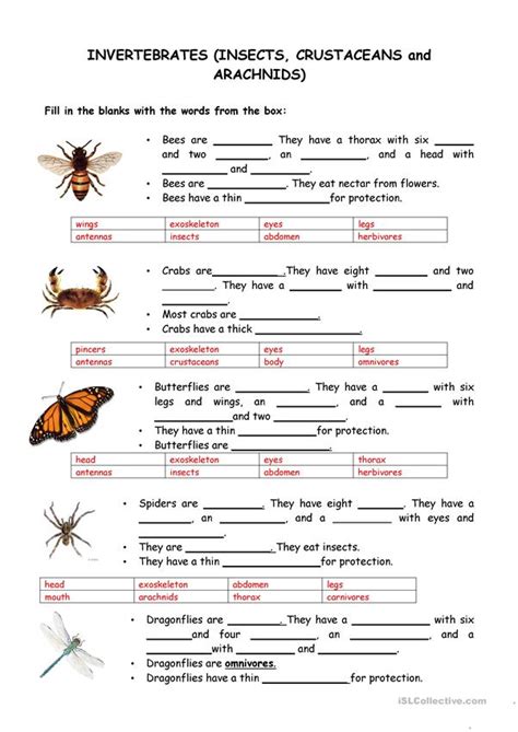 They complete worksheets on comparing. Animals-Vertebrates and Invertebrates worksheet - Free ESL printable worksheets made by teachers