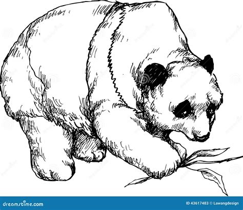 Hand Drawn Cute Panda Stock Vector Image 43617483