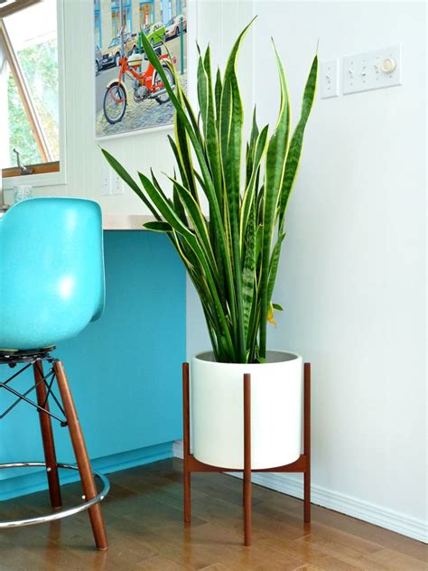 Case Study Ceramic Planter With Wood Stand Large White Study Poster