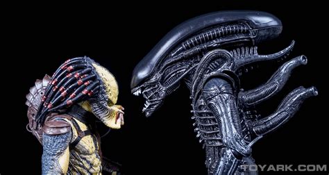 Predator galaxy ретвитнул(а) mk_habit_addict | ceo of lin kuei fans. NECA TRU Exclusive Alien vs Predator First Look - Toy ...