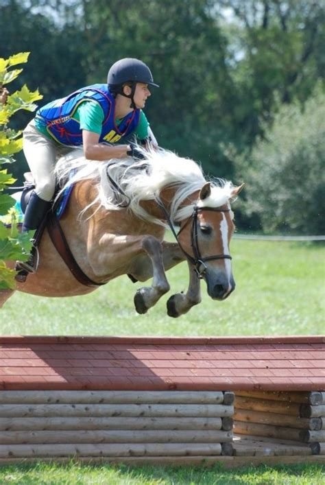 Top Fifteen Beginner Novice Horse Cross Country Photos At Aec