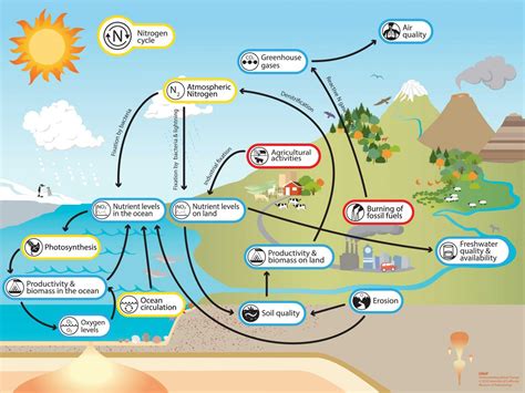 Nitrogen Understanding Global Change