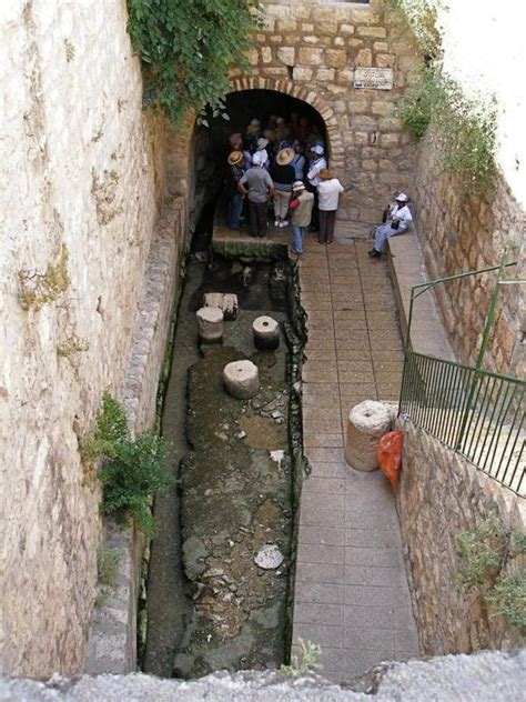 The Pool Of Siloam Palestine History Holy Land Pool