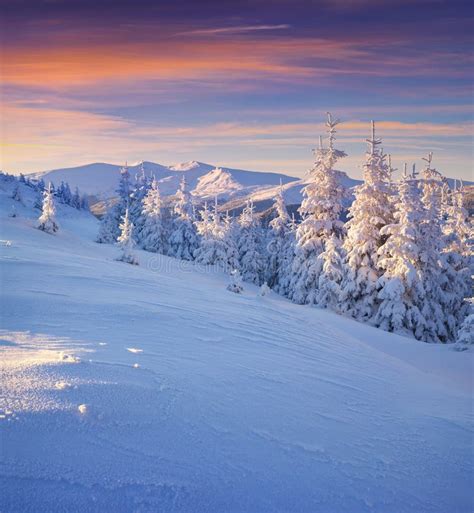 Colorful Winter Morning In The Mountains Stock Image Image Of