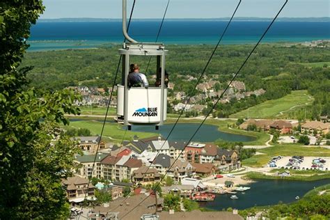Blue Mountain Resort Things To Do Blue Mountains 2021 Ce Quil