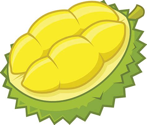 Durian Cartoon