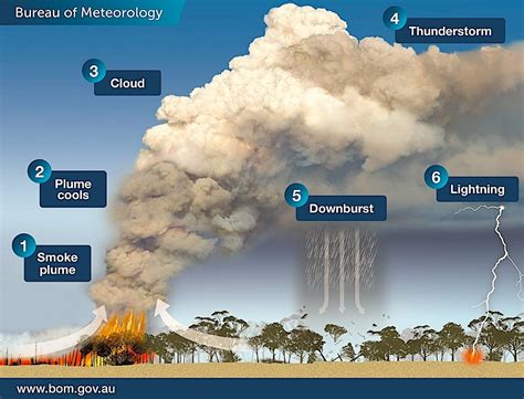 Entenda Como Incêndios Na Austrália Criam Microclima Que Gera Mais