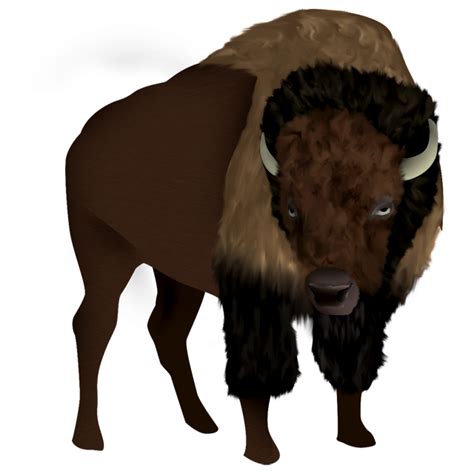 The png format is widely used, especially on the web, for saving images. Bison PNG