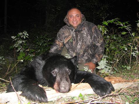 Maine Bear Hunt Over Bait Jackman Maine Bear Hunting Bulldog Camps
