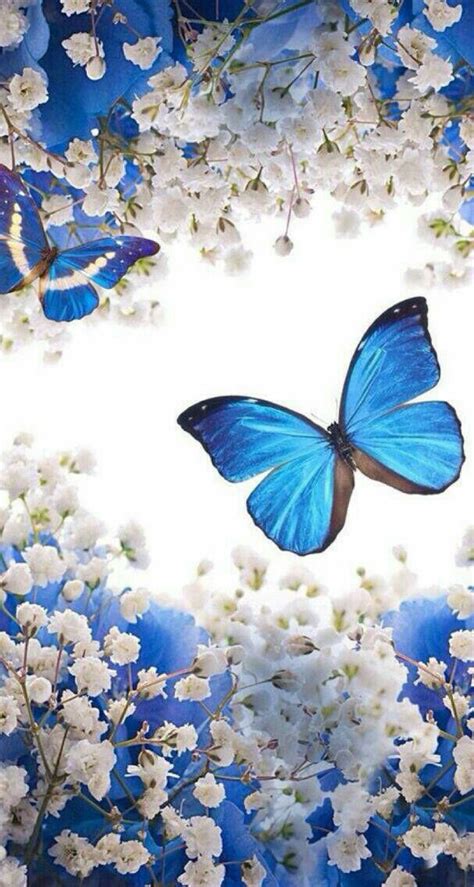 Top 100 Imagen Fondos De Pantalla De Mariposas Azules Thptnganamst