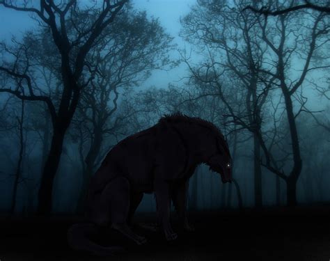 Dark Forest Wolf Wallpapers Top Free Dark Forest Wolf Backgrounds