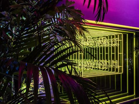 Rafael De Cárdenas Douses Oasis With Saturated Hues At The Neon Jungle