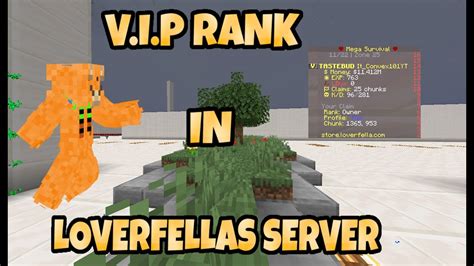 How To Get Vip In Loverfellas Server Youtube