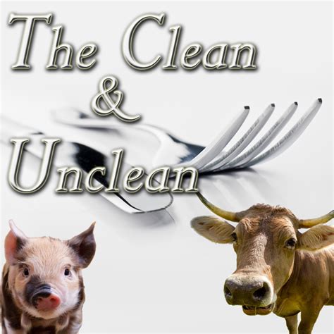 The Clean And Unclean