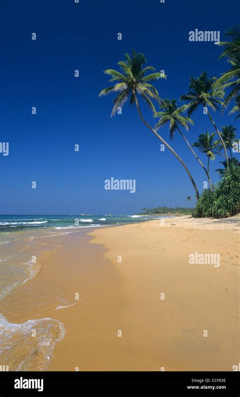 Beach Of Bentota Sri Lanka Stock Photo Alamy
