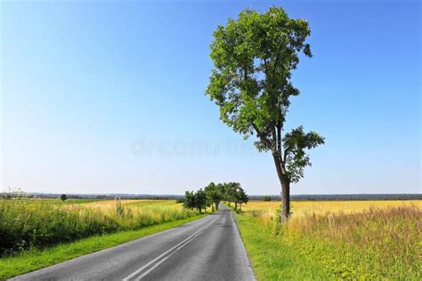 Summer Country Road Stock Image Image Of Highway Movement 27191881