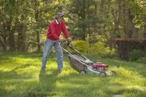 A lawn care business does basic grass maintenance like mowing, edging, weed eating, and blowing. You Can Earn Extra Cash With a Lawn-Mowing Business - Homesteading and Livestock - MOTHER EARTH NEWS