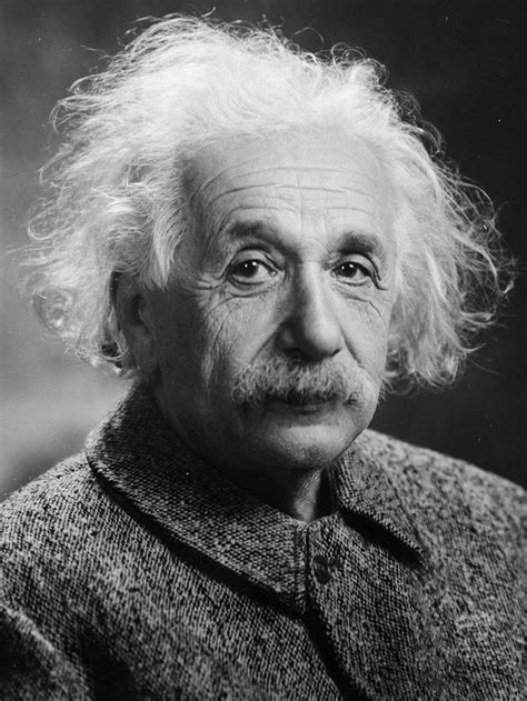 Albert Einstein Scientist Genius 10x8 Black And White Vintage Photo