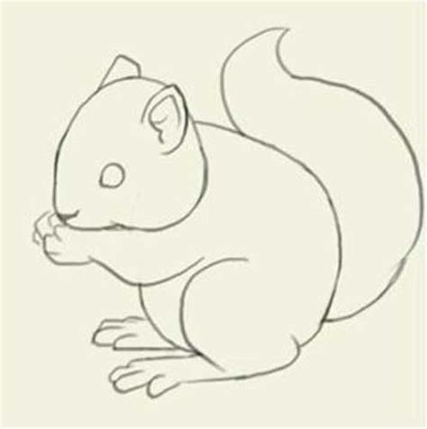 How To Draw A Squirrel Step By Step For Beginners Realistic Colour