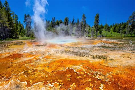 hot spring in yellow stone national park in usa stock image image of blue yellowstone 250131153